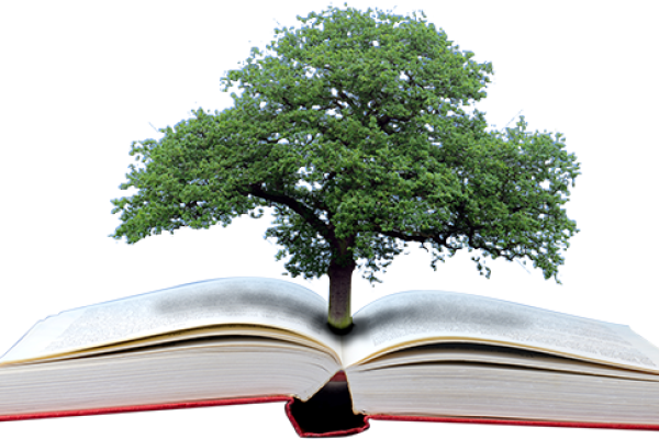 educacion_ambiental_arbol_y_libro